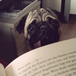 20161020_094129-kopie-kopie