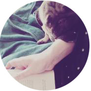 1317897185_1487000881412_xxl_2