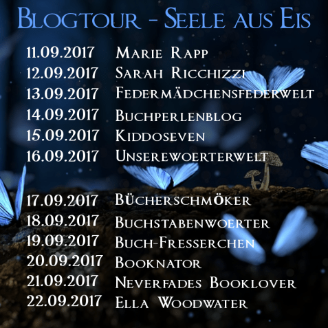 Blogtourbanner - Seele_aus_Eis_Übersicht 1-1.png