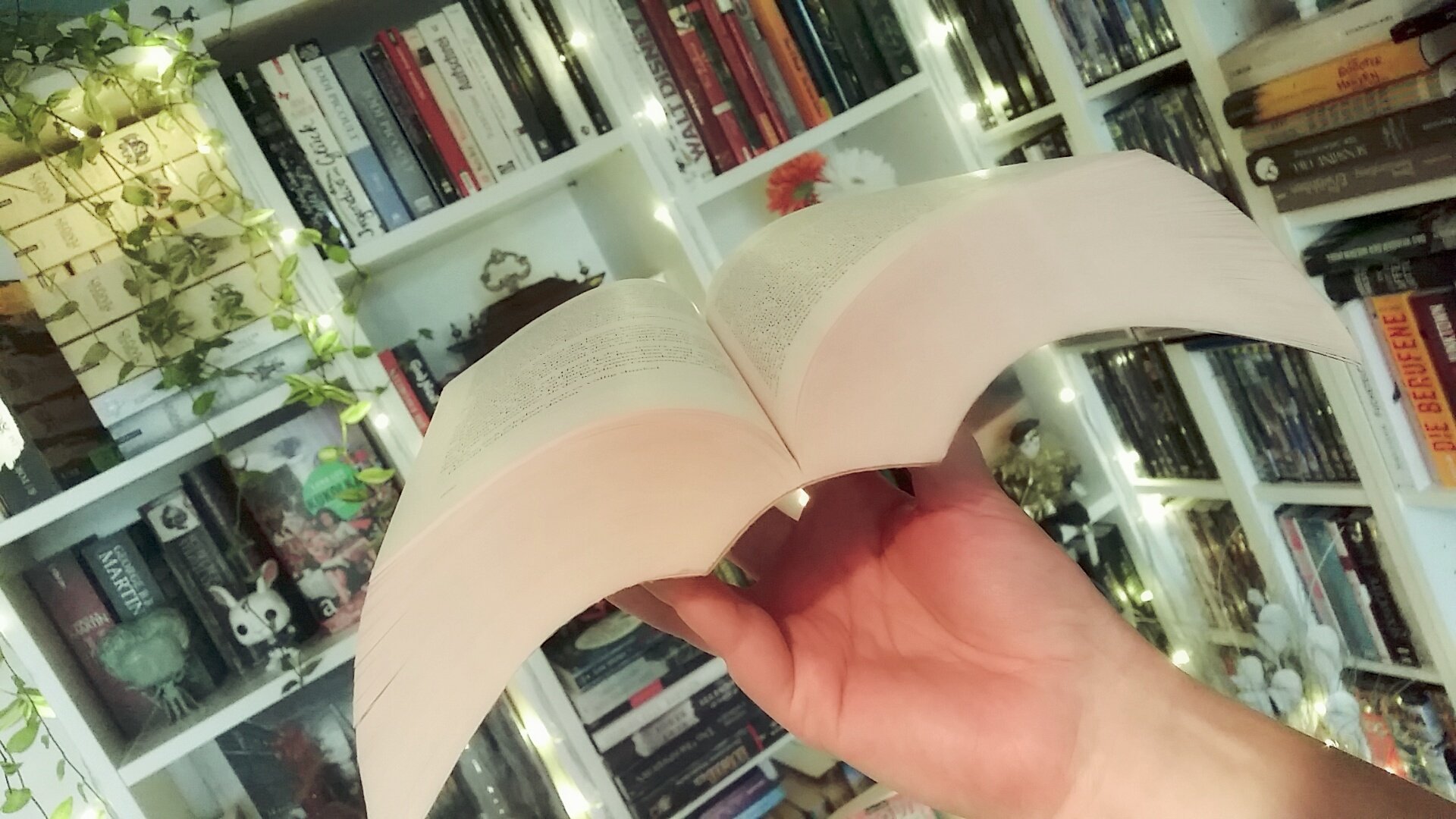 the_stand_king_halbzeit