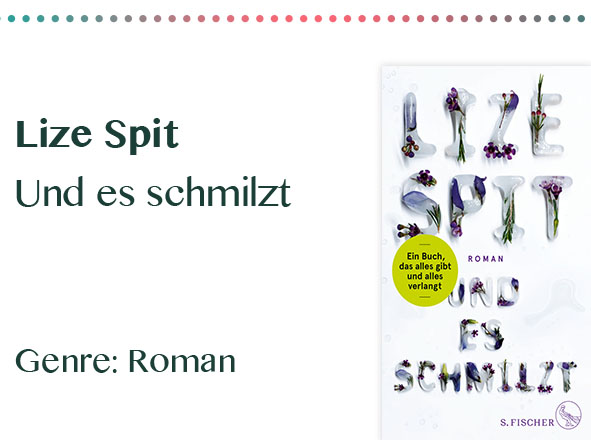 rezensionen__0017_Lize Spit Und es schmilzt Genre_ Roman
