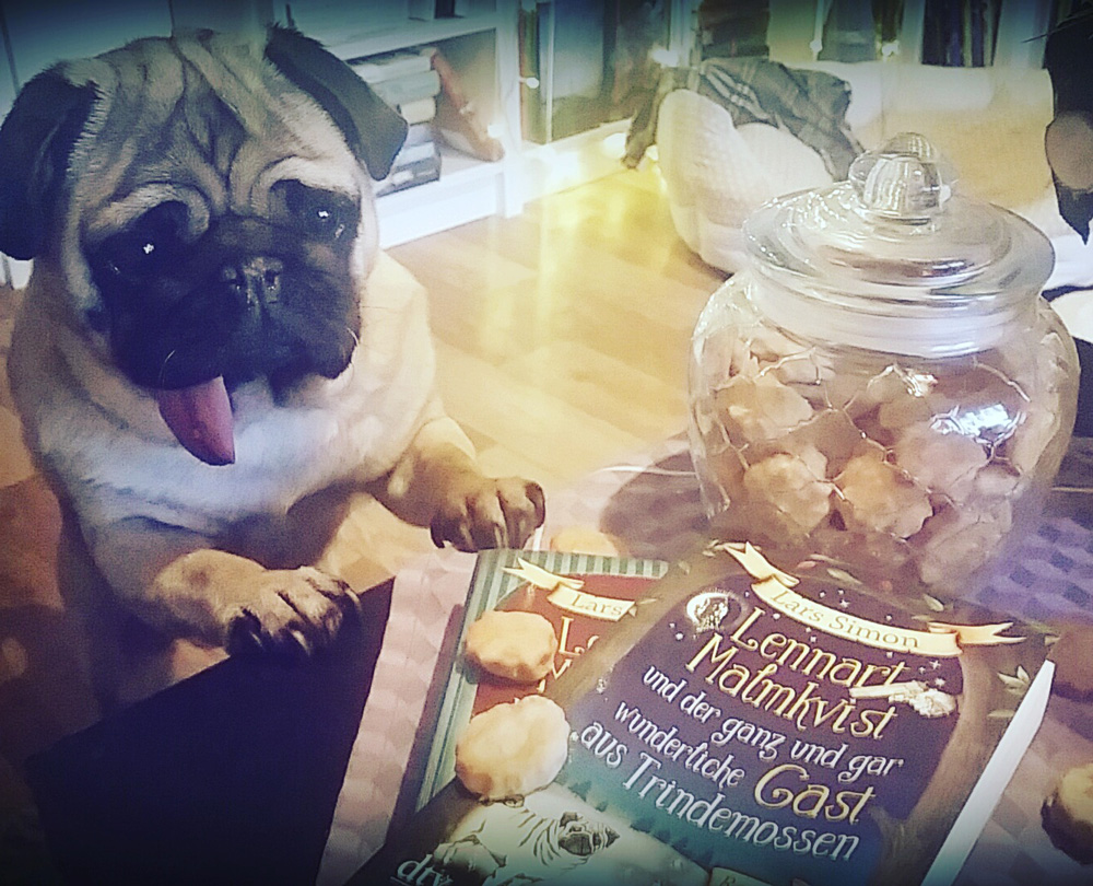 yoshi_interview_lennart_2