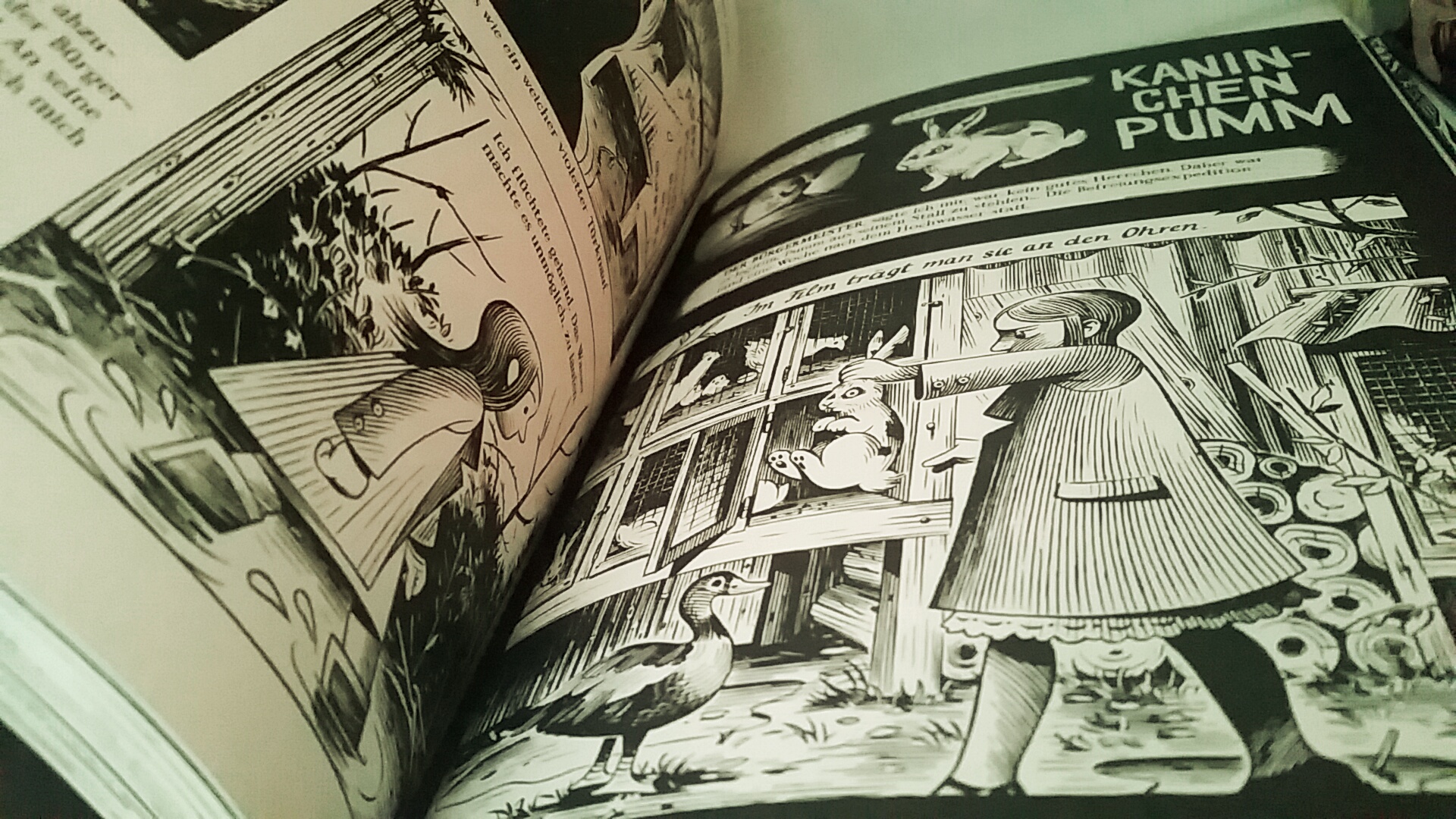 IMG_20180310_094622297