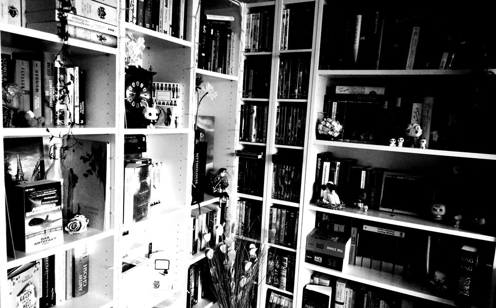 buecherregal_bw