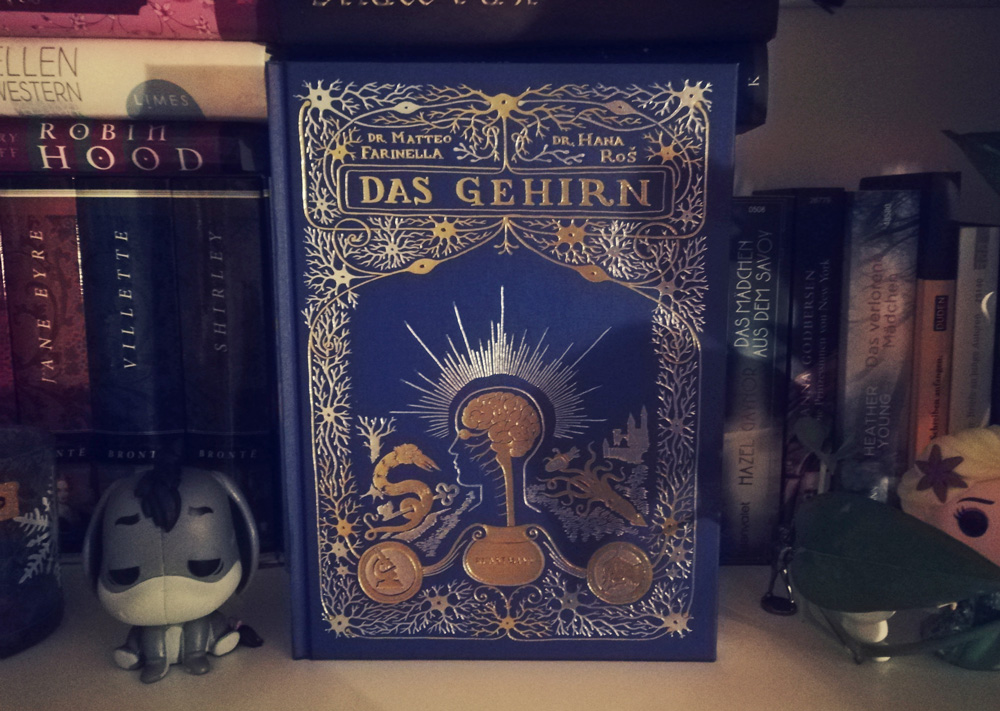 das_gehirn_farinella