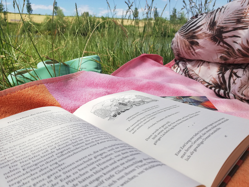 gerdt_bassewitz_peterchens_mondfahrt_2