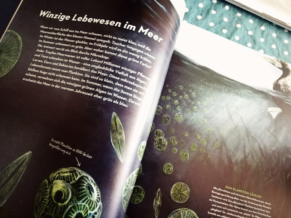 geheimnisvolle_reise_tiefsee_prestel_1