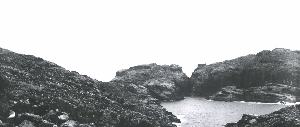 [Writing Friday] Fred