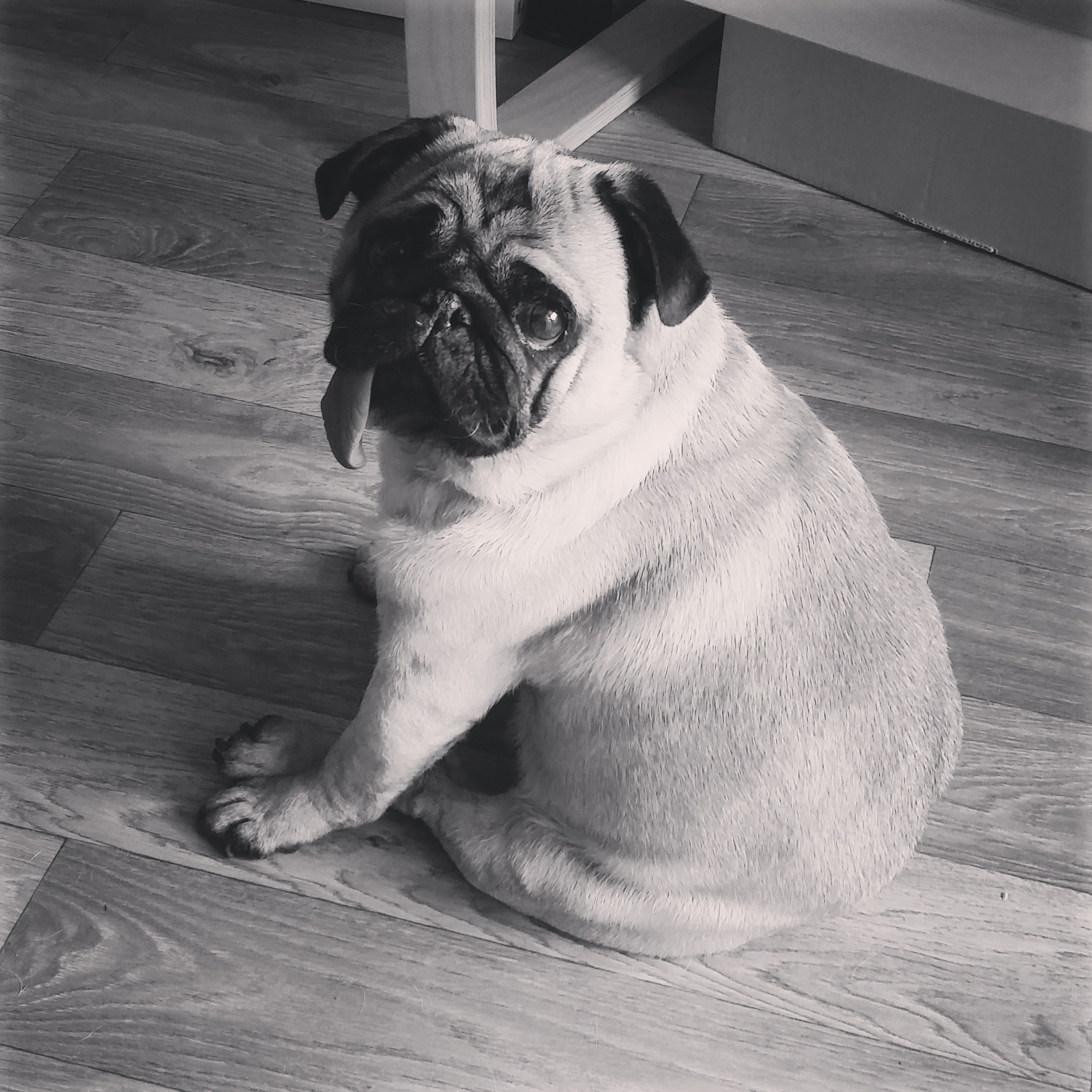 IMG_20170713_164633_695