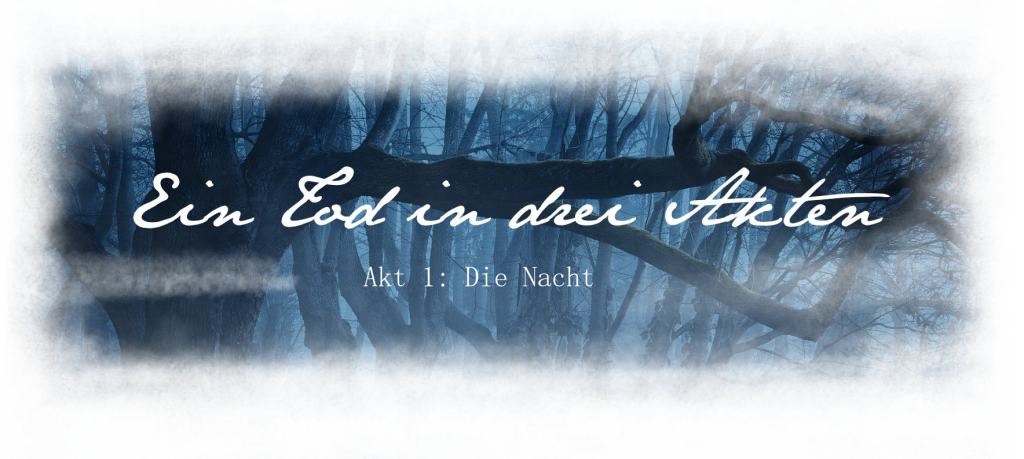 [Ein Tod in drei Akten] Akt 1: Die&nbsp;Nacht