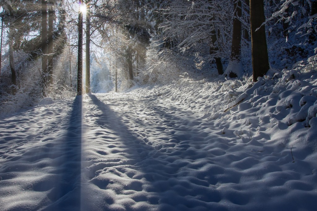[Writing Friday] Spuren im&nbsp;Schnee