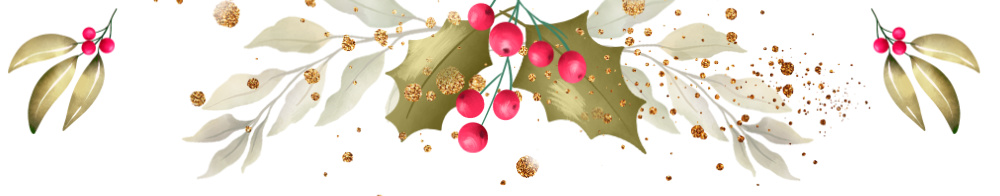 Blogger für Adventskalender&nbsp;gesucht!