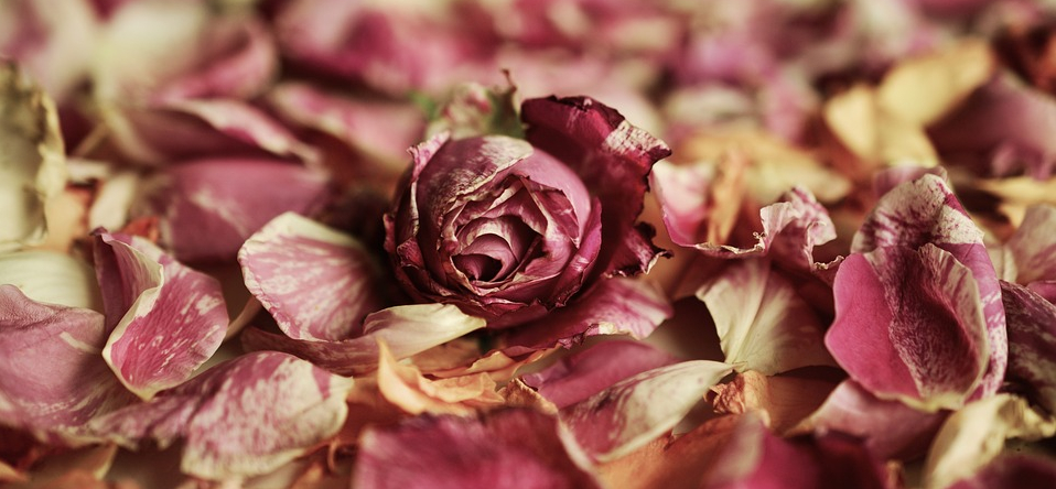 [Writing Friday] Mittwochsmädchen